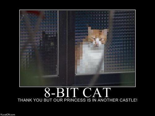 8bitcat.jpg